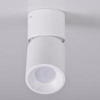 Lampa Nixa 314239 biely GU10 LW1