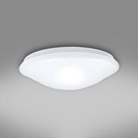 Luster Ceiling PLP24W 4000K IP44 45257 PL1