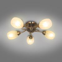 Luster  CL16173-5 PL5