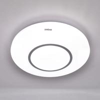 Stropná lampa Ringe LED 03282 16W 4000K